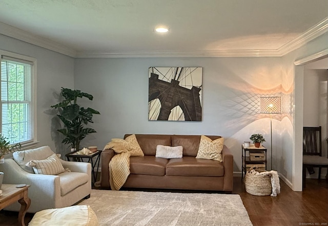 living area featuring baseboards, ornamental molding, wood finished floors, and recessed lighting