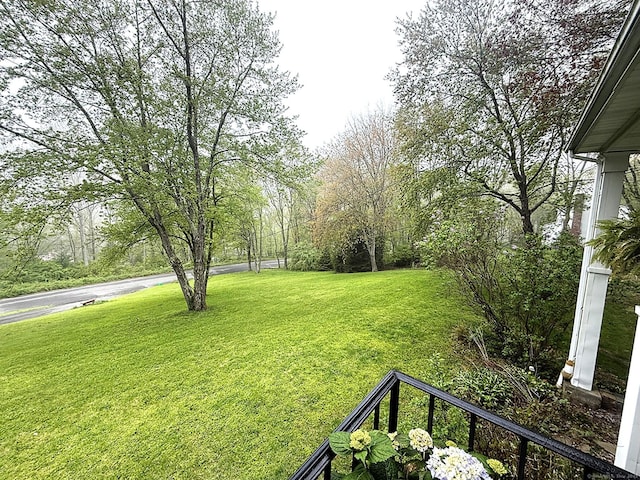 view of yard