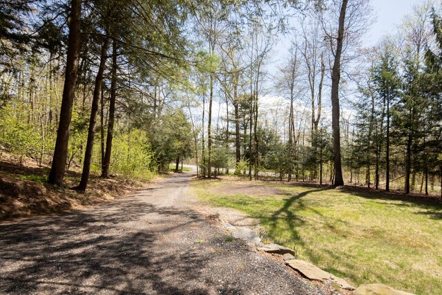 174 Bunker Hill Rd, Cornwall, CT 06796 - view of road