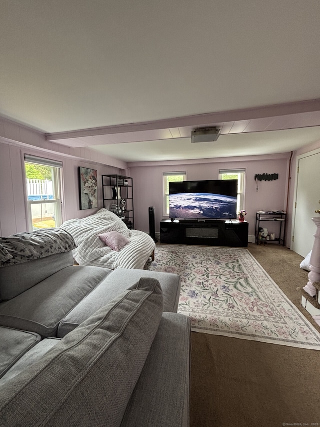80 Colony St, Ansonia, CT 06401 - view of carpeted bedroom
