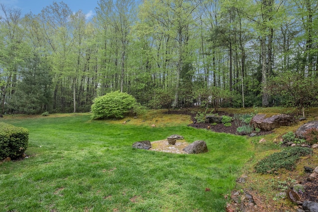view of green lawn