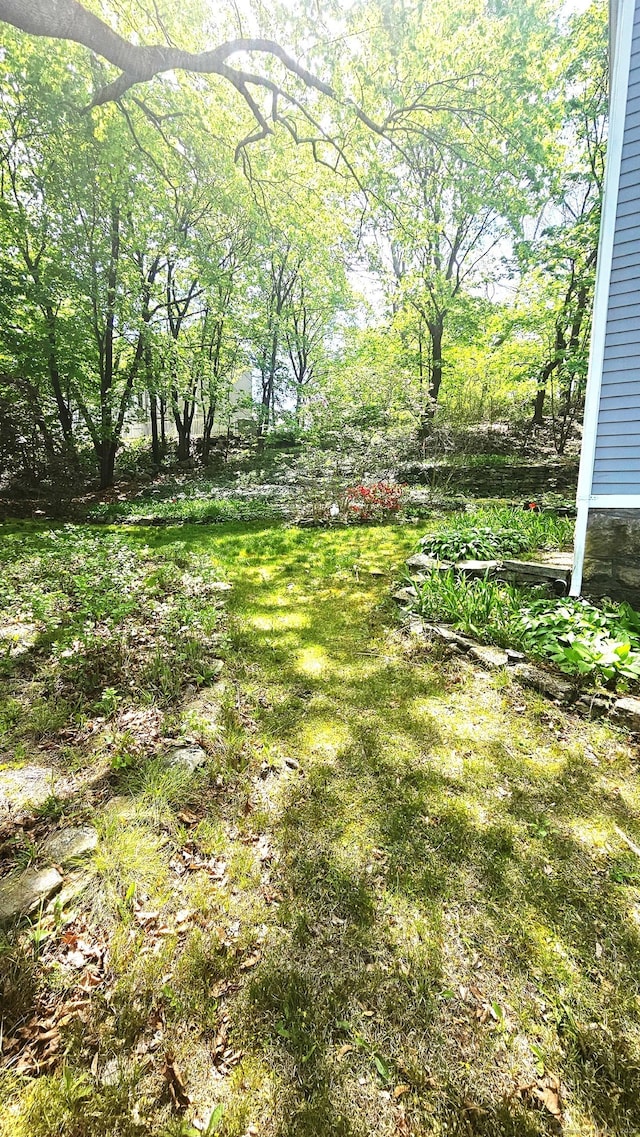 243 Bridge St, Groton, CT 06340 - view of yard