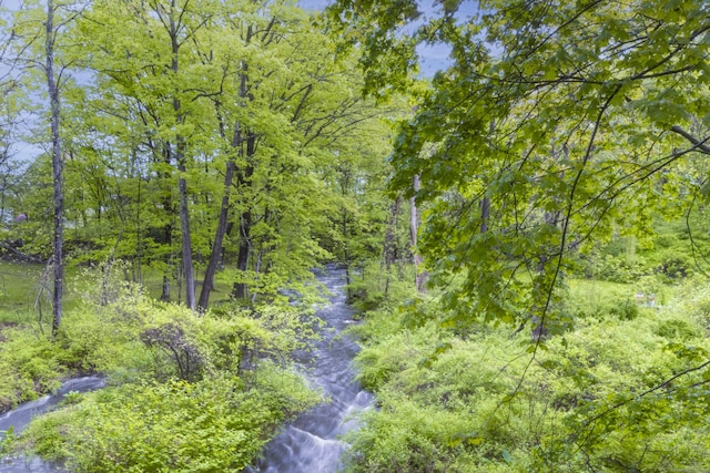 45 Roseland Park Rd, Woodstock, CT 06281 - view of tree filled area