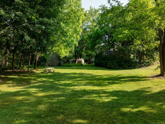 45 Roseland Park Rd, Woodstock, CT 06281 - view of green lawn