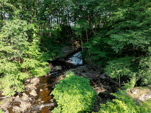 45 Roseland Park Rd, Woodstock, CT 06281 - view of local wilderness