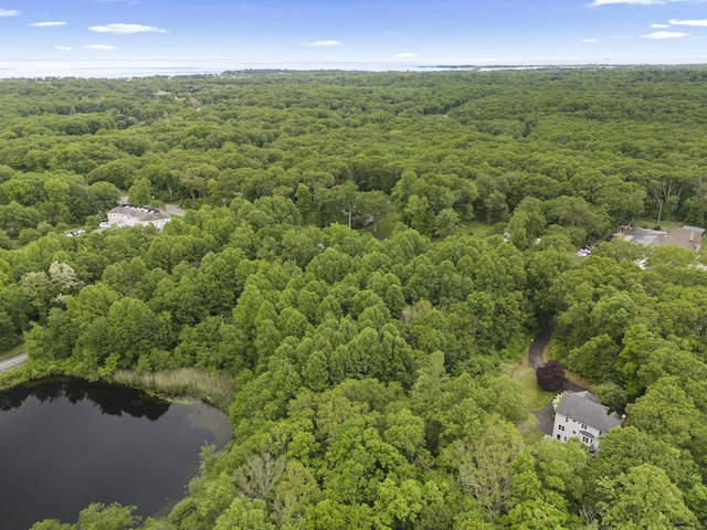 202 Horse Hill Rd, Westbrook, CT 06498 - bird's eye view of a heavily wooded area and a large body of water