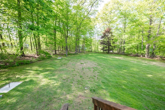 45 Wolf Pit Rd, Southbury, CT 06488 - view of green lawn