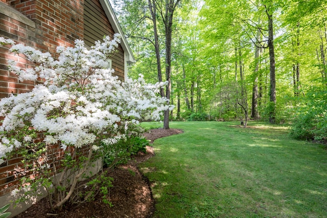 45 Wolf Pit Rd, Southbury, CT 06488 - view of grassy yard