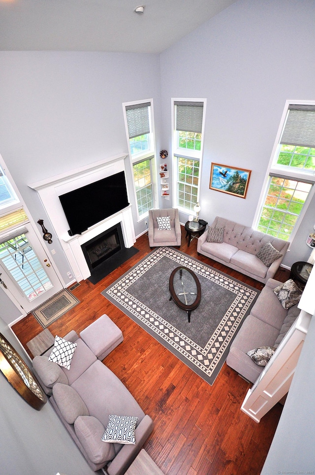 living area featuring high vaulted ceiling, a healthy amount of sunlight, and wood finished floors