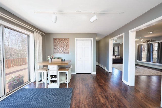 dining area with baseboards, a baseboard radiator, wood finished floors, and track lighting