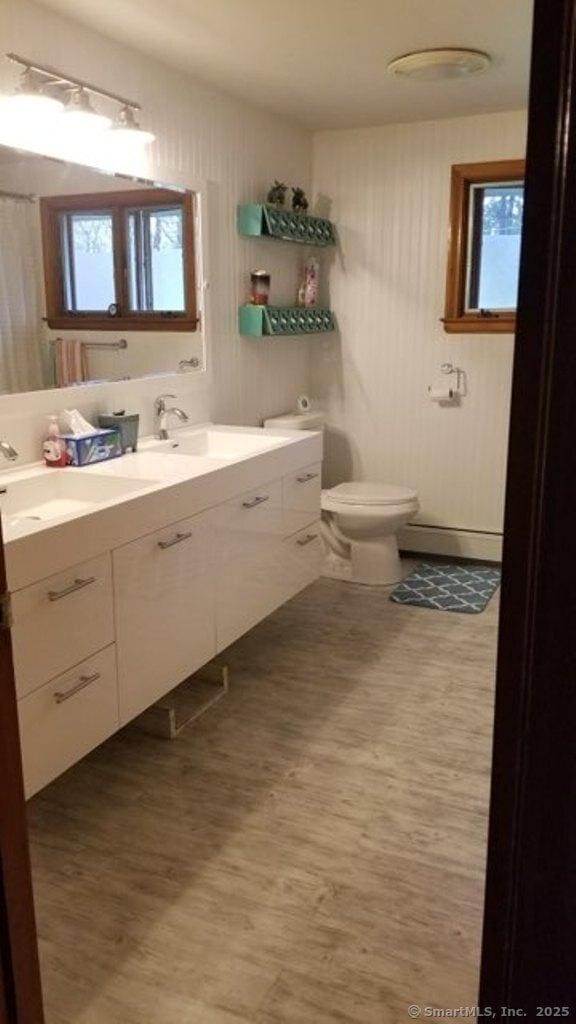 bathroom featuring a sink, double vanity, toilet, and wood finished floors