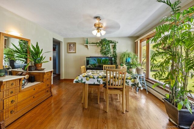 248 S Eagle St, Plymouth, CT 06786 - photo 5