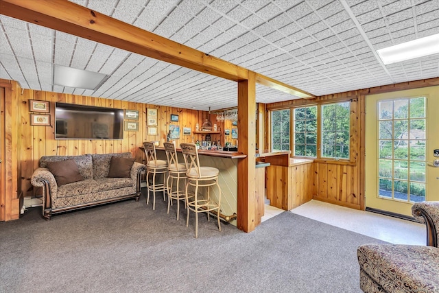 2 White Oak Farm Rd, Newtown, CT 06470 - indoor dry bar with carpet floors and wooden walls