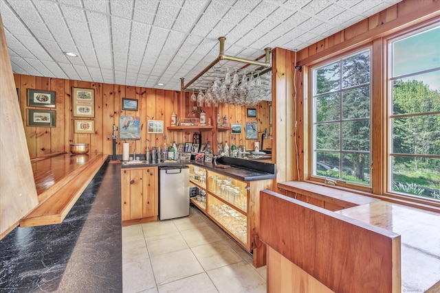 2 White Oak Farm Rd, Newtown, CT 06470 - indoor wet bar with healthy amount of natural light, wood walls, stainless steel dishwasher, and light tile patterned floors