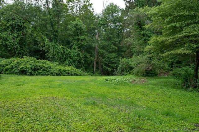 25 Miller Rd, Burlington, CT 06013 - photo 7
