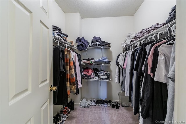 500 Prospect St Apt 1F, New Haven, CT 06511 - spacious closet featuring carpet floors