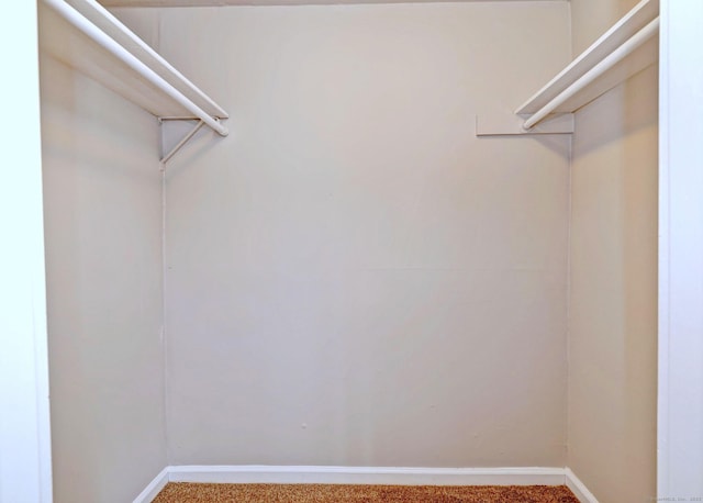 spacious closet with carpet
