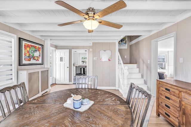 dining room with ceiling fan, light wood-type flooring, beam ceiling, stairway, and wood walls