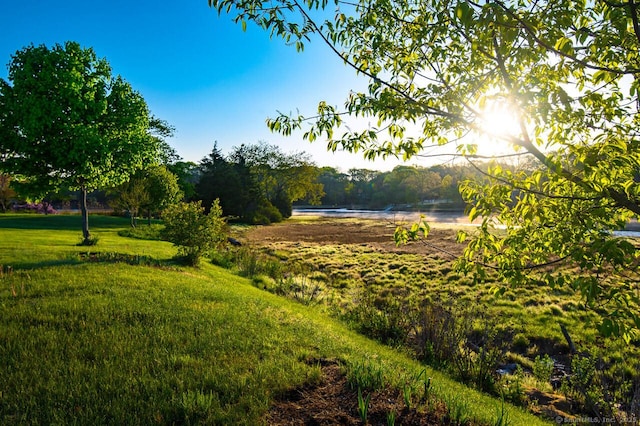 23 Hefflon Farm Rd, Old Lyme, CT 06371 - view of yard