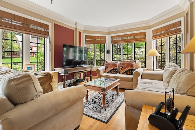 44 Walbridge Rd, West Hartford, CT 06119 - living room featuring ornamental molding and wood finished floors