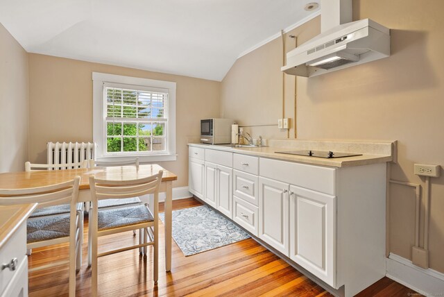 44 Walbridge Rd, West Hartford, CT 06119 - kitchen featuring under cabinet range hood, radiator, black electric stovetop, stainless steel microwave, and vaulted ceiling