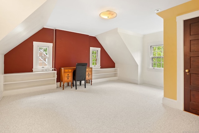 44 Walbridge Rd, West Hartford, CT 06119 - additional living space with carpet and vaulted ceiling