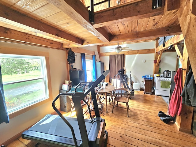 69 Elmdale Rd, Canterbury, CT 06331 - exercise area featuring wooden ceiling, hardwood / wood-style flooring, and ceiling fan