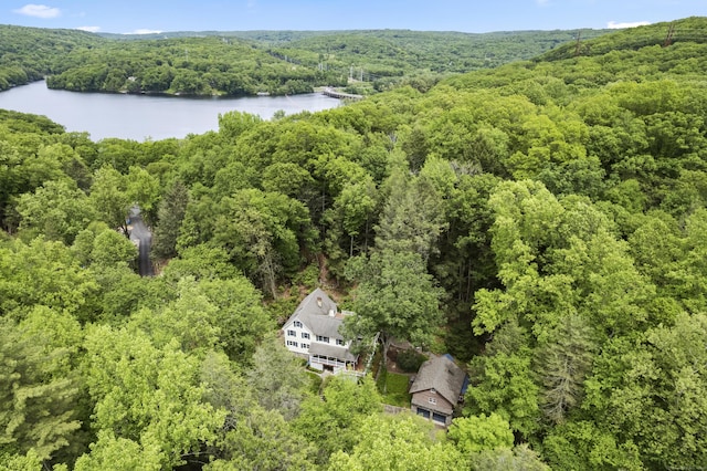 18 Brookside Trl, Monroe, CT 06468 - drone / aerial view of a forest and a nearby body of water