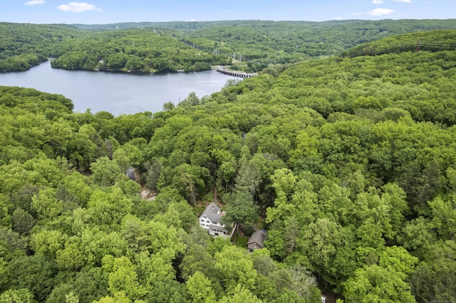 18 Brookside Trl, Monroe, CT 06468 - bird's eye view of a heavily wooded area and a nearby body of water