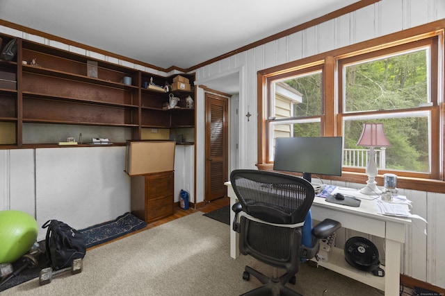 18 Brookside Trl, Monroe, CT 06468 - office area with plenty of natural light, crown molding, and carpet flooring