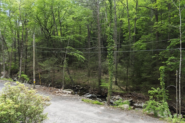 18 Brookside Trl, Monroe, CT 06468 - view of road featuring a wooded view