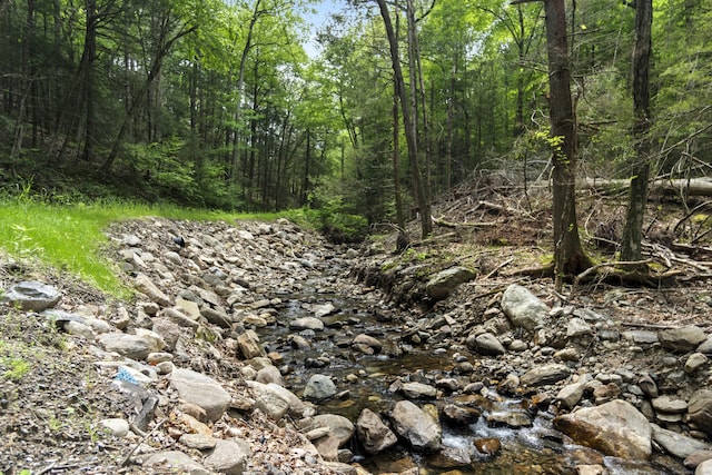 18 Brookside Trl, Monroe, CT 06468 - view of wooded area