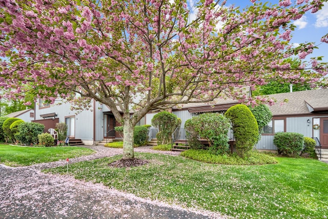 view of front of home with a front yard