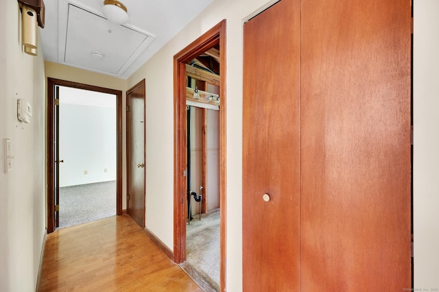 corridor featuring light wood finished floors and attic access