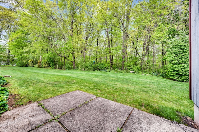 view of yard with a patio