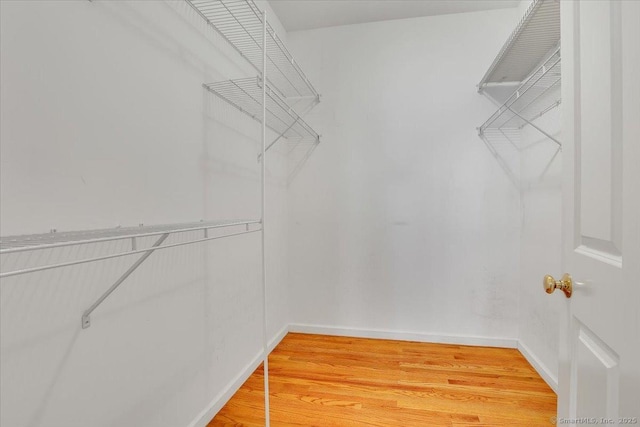 spacious closet with light wood-type flooring