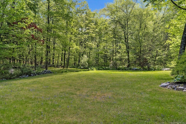 9 Brick School Dr, Redding, CT 06896 - view of green lawn with a forest view
