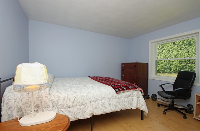 231 Lake Shore Dr, East Haddam, CT 06415 - bedroom with wood finished floors
