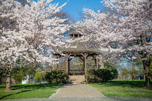 view of home's community with a lawn