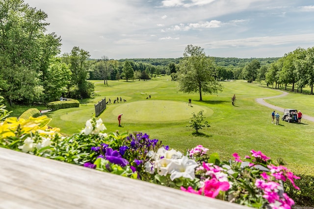 view of community with a yard and view of golf course