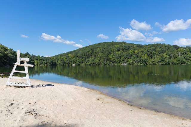 water view with a wooded view