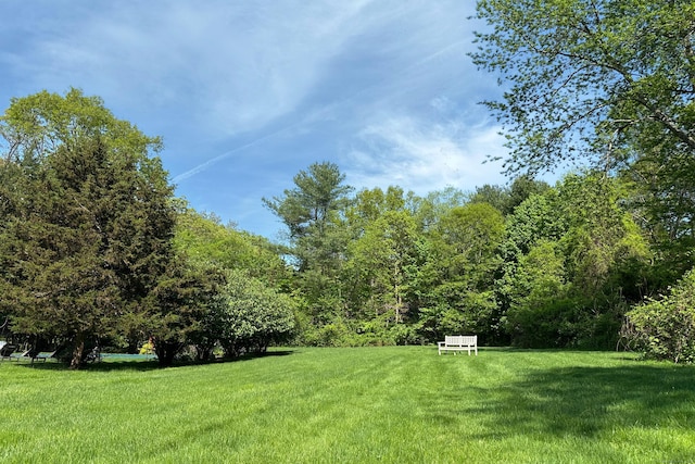 10 Twin Falls Ln, Westport, CT 06880 - view of green lawn