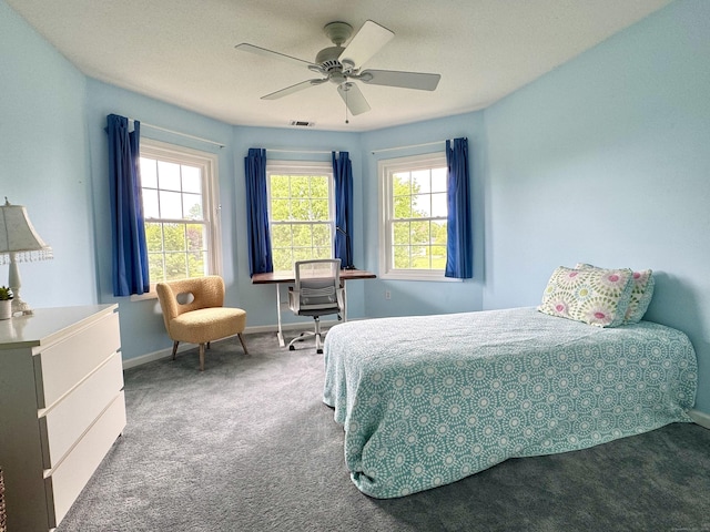 39 Farmstead Ln, Suffield, CT 06078 - carpeted bedroom with multiple windows, baseboards, and a ceiling fan