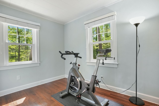12 Woody Pl, Ridgefield, CT 06877 - workout area featuring plenty of natural light, wood finished floors, baseboards, and ornamental molding