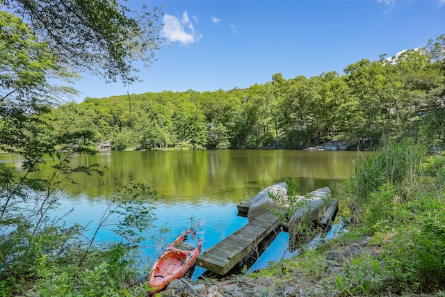 12 Woody Pl, Ridgefield, CT 06877 - dock area with a wooded view and a water view