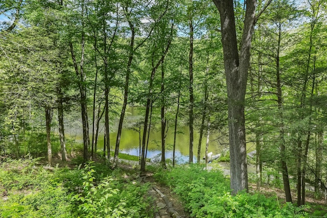 12 Woody Pl, Ridgefield, CT 06877 - water view with a heavily wooded area