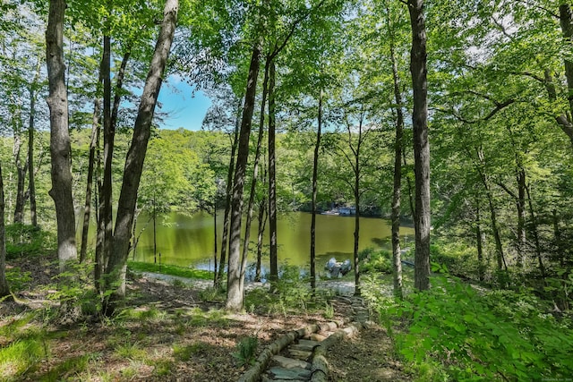12 Woody Pl, Ridgefield, CT 06877 - water view with a forest