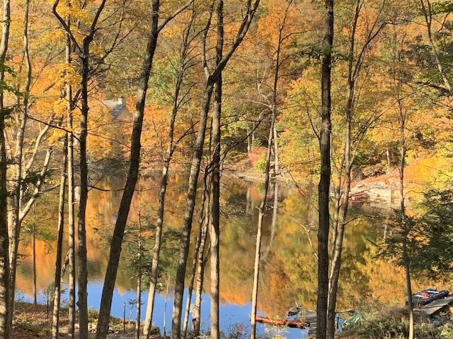 12 Woody Pl, Ridgefield, CT 06877 - water view with a forest
