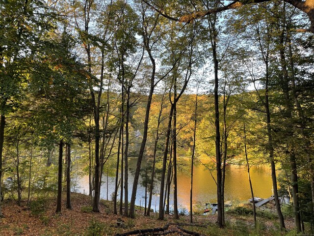 12 Woody Pl, Ridgefield, CT 06877 - water view featuring a forest