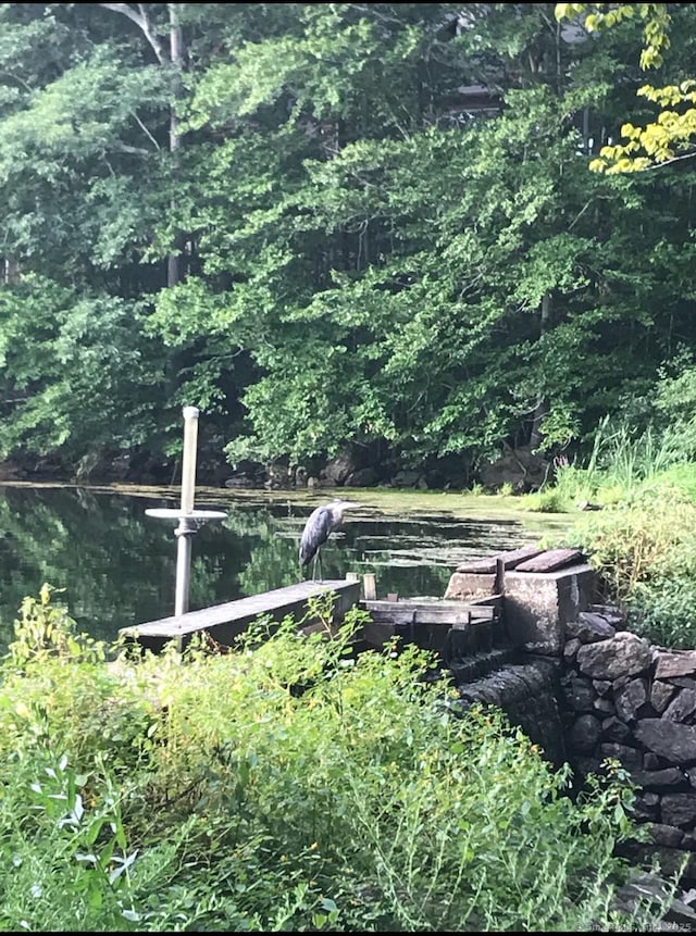 12 Woody Pl, Ridgefield, CT 06877 - view of yard